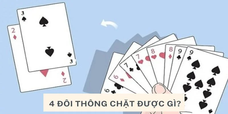 4 cặp lá thông có thể làm được những gì? 4 cặp lá thông có cần nhẫn không?