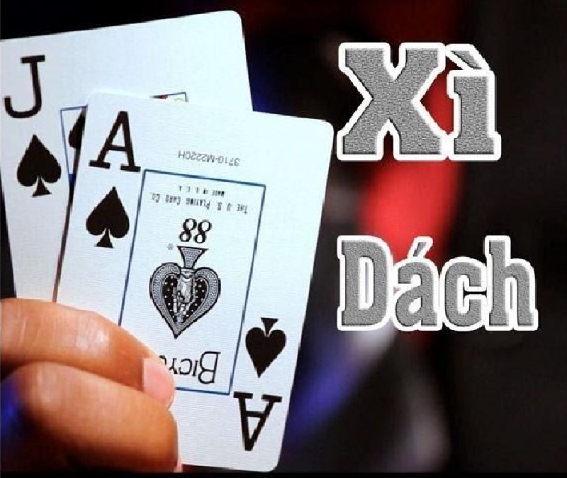 Xì Dách 4 Lá Xì Tính Mấy? Kinh Nghiệm Chơi Xì Dách Hiệu Quả