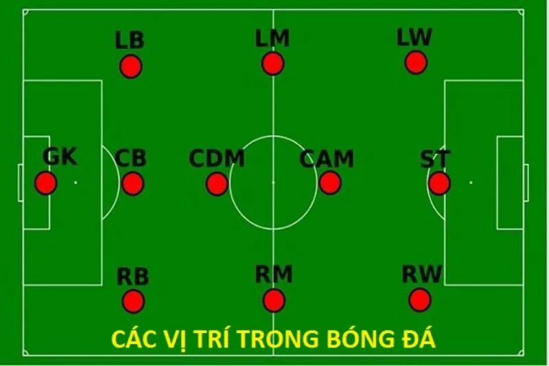 LM trong bóng đá là gì? Nhiệm vụ của cầu thủ vị trí LM